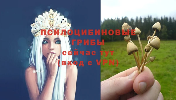 героин Богданович