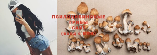 таблы Снежногорск