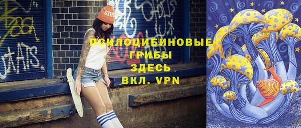 таблы Снежногорск