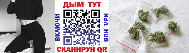 Конопля SATIVA & INDICA  где найти   Киренск 